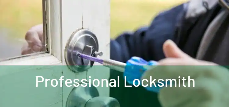  Professional Locksmith 